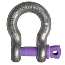 Grade 6 High Strength Shackles

