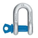 3.25Tonne Standard Dee Shackle Screw Pin