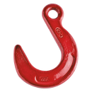 Grade 80 Eye Foundry Hook Red Image for Lifting European