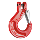 Sling Hook (with Latch) Grade 80